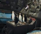 Пингвины отремонтированы старые разбился самолета